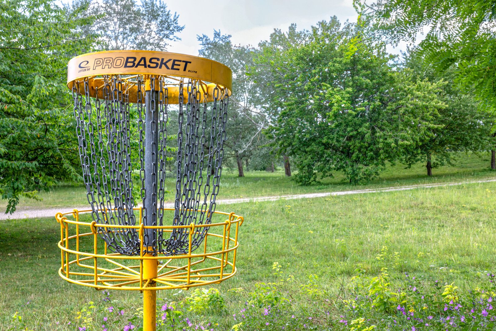 Disc-Golf