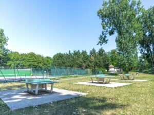 Tennis de table