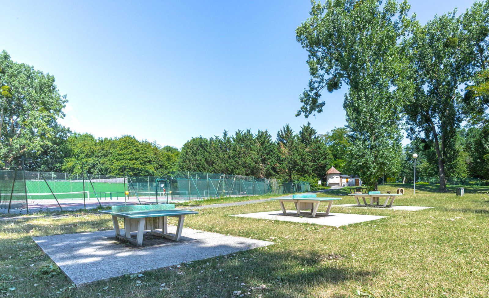 Tennis de table