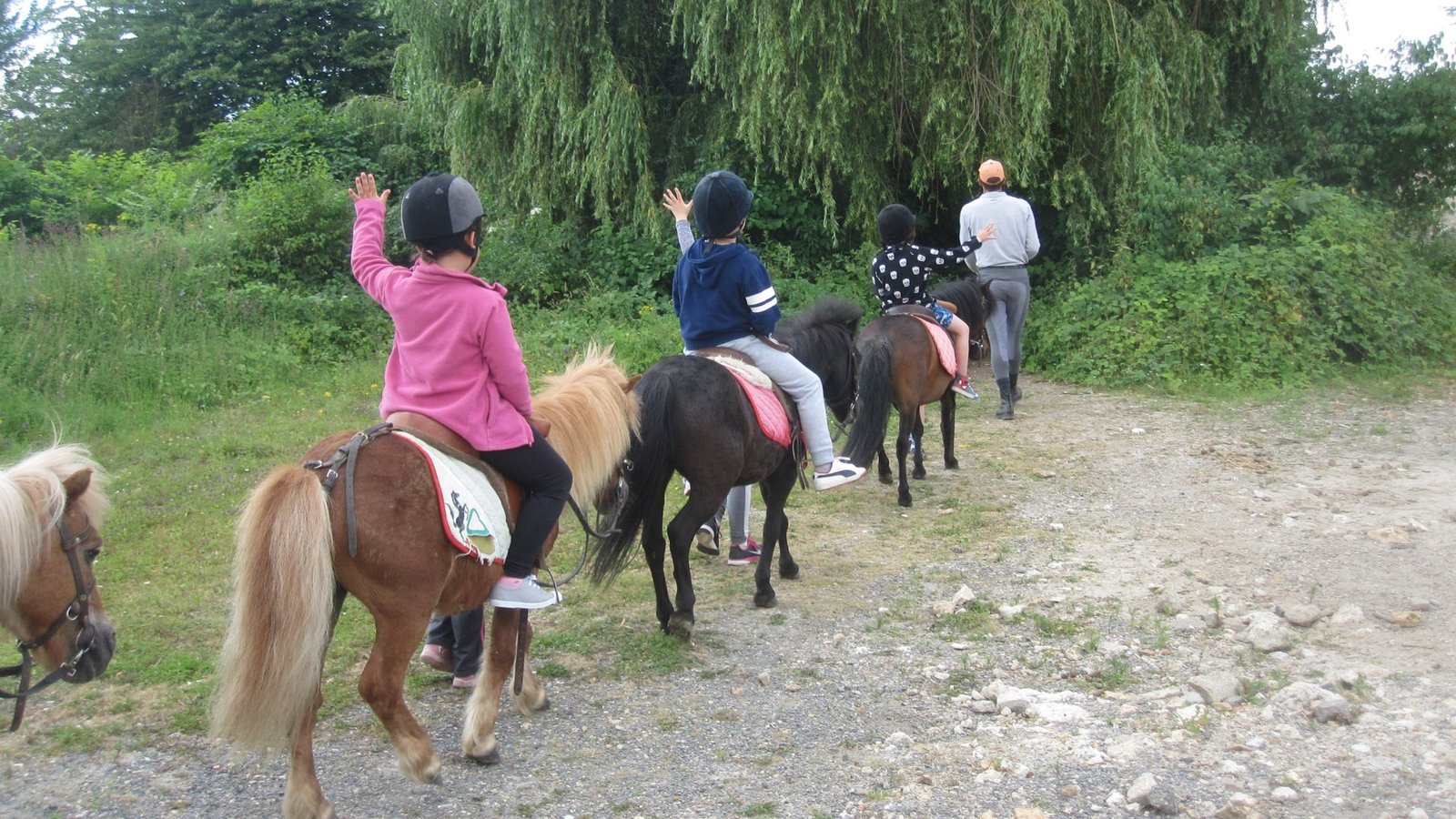 Equitation groupe